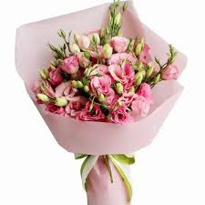 Image result for eustoma flamenco
