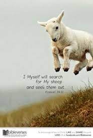 Explore our collection of motivational and famous quotes by bible quotes about sheep. Bible Quotes About Sheep Quotesgram