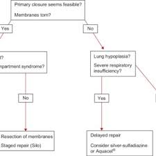 Surgical management for intestinal atresia. Pdf Giant Omphalocele Current Perspectives