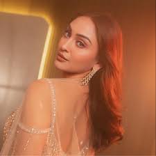 Lord Curzon Ki Haveli director Anshuman Jha gets candid