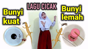 We did not find results for: Pola Ketukan Birama Lagu Cicak Cicak Di Dinding Youtube
