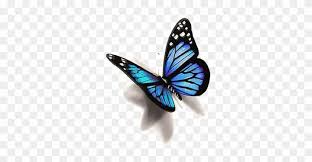 We did not find results for: Blue Butterfly Tattoo Png Novocom Top