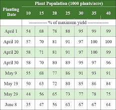 Corn Hail Decision Guide