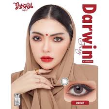 ✨ Darwin gray (lovely soft) ขนาดมินิ mini ☀️กรองแสง uv  ✔️เลนส์แท้จดทะเบียนถูกต้อง (บิ๊กอาย คอนแทคเลนส์ Bigeye)