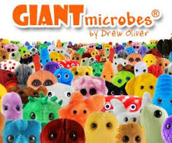 Top Rated Sites Kids Toys Funny Teacher Gifts Learning Toys