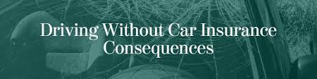 Driving without insurance is just not worth the risk, yet it's more common than you might think. Driving Without Insurance In Texas Law Offices Of Maloney Campolo