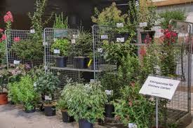Check spelling or type a new query. Dergartenbau Artikel