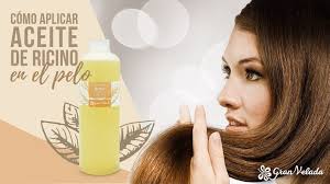 Maybe you would like to learn more about one of these? Productos Hechos En Casa Para Dar Brillo Al Pelo Y Fortalecerlo