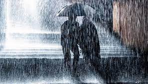 Check spelling or type a new query. Mimpi Hujan Banyuwangi Terkini