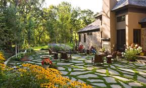 How To Grow Moss Between Pavers? | Growing Moss, Patio Stones, Garden Pavers