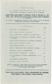 Image result for Erythrocephalum scabrifolium