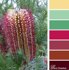 Banksia Bonanza Colour Inspiration Tuesday And Link Party Clever Chameleon Quilting Color Inspiration Australian Colours Color