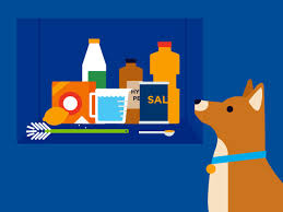 Pet Friendly Cleaning Tips Petcoach