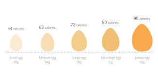 Calories In An Egg Egg Calories Calorie Counting Chart