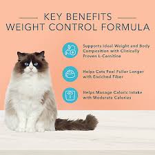 Each individual cat will require different food, a different meal size and varying levels of cat exercise. Blue Buffalo True Solutions Fit Healthy Weight Control Cat Food Cat Dry Food Petsmart