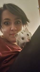 Dog pee smell from blankets removal options?