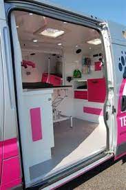 Angies mobile pet groomers originated in palm harbor & expanding thoughout florida. 13 Mobile Pet Grooming Van Ideas Mobile Pet Grooming Pet Grooming Grooming