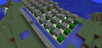 Then make a hole front and center put a sign in the hole (to hold water. Creating Killer Cacti How To Make A Cactus Farm In Minecraft Minecraft Wonderhowto