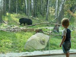 List of facts we found about ostrava zoo. Hroch Bild Von Zoo Ostrava Ostrava Tripadvisor