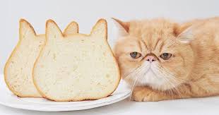 Make homemade bread that looks like it came out of a professional oven! Japanese Bakery Makes Cat Shaped Breads And They Re Just Too Adorable Bored Panda