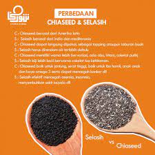 Chia seeds are one of nature's gift to mankind. 22 Manfaat Chia Seed Dan Perbedaannya Dengan Selasih Siti Nurjannah Tambunan