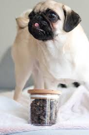 Hundeleckerlis Selber Machen Getrocknete Huhnerherzen 2 Hundenahrung Hunde Futter Hundefutter
