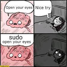 Brain Open Your Eyes Nice Try Sudo Open Your Eyes Comic Starecat Com