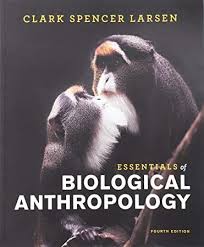 Biological Science Freeman 6th Edition Pdf Free Free Ebook Essentials Of Biological Anthropology Fourth Edition Biological Anthropology Anthropology Book Essentials