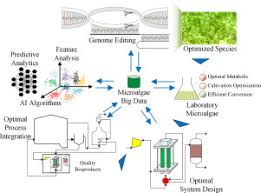 C f bukan persis novel mula benci jadi rindu dm kau istri tercinta. Microalgae With Artificial Intelligence A Digitalized Perspective On Genetics Systems And Products Sciencedirect
