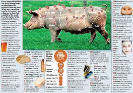 Maybe you would like to learn more about one of these? From Bullets To Bread And Beer Tambourines To Toothpaste All Of That Plus Another 180 Other Things To Do With A Pig Daily Mail Online