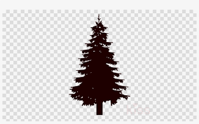 Maybe you would like to learn more about one of these? Pine Tree Silhouette Clipart Fir Clip Art Clip Art 900x520 Png Download Pngkit