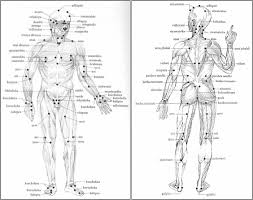 acupressure points chart pdf www bedowntowndaytona com