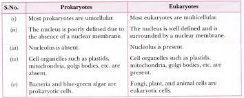 We did not find results for: State The Differences Between Eukaryotes And Prokaryotes Cbse Class 8 Science Learn Cbse Forum