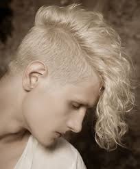 Below, check out the best traditional … Long Curly Moahwk For Men Curly Mohawk Hairstyles Mohawk Hairstyles Curly Mohawk