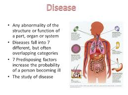 Groups of different tissues make up organs; Disease Disease Producing Organisms Ppt Video Online Download