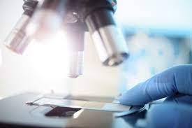 More than 120 staff use the latest technology to service the food, environmental, electronics, pharmaceutical, biological fluid and tribology sectors. Lab Test Singles Out Carbamate As Cause Behind Batu Gajah Food Poisoning Malaysia Malay Mail