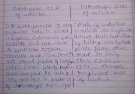 These are the organisms that cannot make their own food and they depend on other organisms. What Is Difference Between Auroeophi And Hetrophic Mode Of Nutrition Brainly In