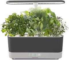 Indoor Herb Gardens