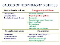Http Www Slideshare Net Joykamau1 55274777 Respiratorydistressinnewborn Respiratory Distress Syndrome Newborn Respiratory Distress Syndrome Bronchial