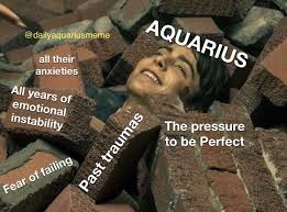 Aquarius Meme In 2020 Zodiac Signs Aquarius Aquarius Horoscope Aquarius Quotes