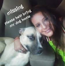 Lost dog