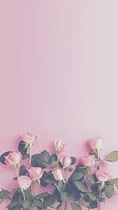 Pink Rose And Wallpaper Image Pink Wallpaper Iphone Daisy Wallpaper Floral Wallpaper