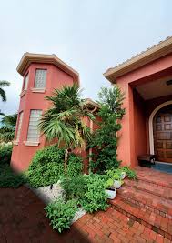 Image result for Eugenia verdcourtii