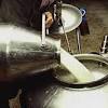 Story image for price of milk karachi from The News International