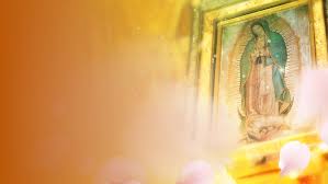 Dónde descargar canciones la rosa de guadalupe | la mujer equis duración de la canción (1.5 m) del artista bts mp3 complete y teryahud file, free and stable La Rosa De Guadalupe Serie Uvideos Univision