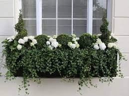 Window boxes can completely transform the facade of your house. Luxury Large Window Box In Belgravia Window Box Flowers Window Box Plants Window Boxes