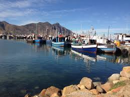 Picture by estee de villiers. Musaestelar Fish Market Houtbay Pictures Snoekies Fish And Chips At Hout Bay Harbour High Res Stock Photo Getty Images Houtbay Is A Cape Town Suburb A Gateway To Seal Island