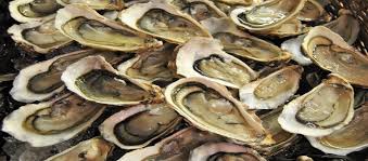 Buffet De Fruits De Mer A Volonte A Saint Malo