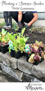Shop our floral department at fredmeyer. Tips For Planting An Organic Pnw Vegetable Garden Done In Partnership With Fred Meyer Garden Center Via Everydaymaven Plants Vegetable Garden Vegetables