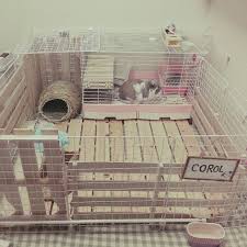 ペットと暮らす ケージのdiy術やトイレの隠し方実例 ウサギ 部屋 ウサギ用ハウス うさぎ ペット